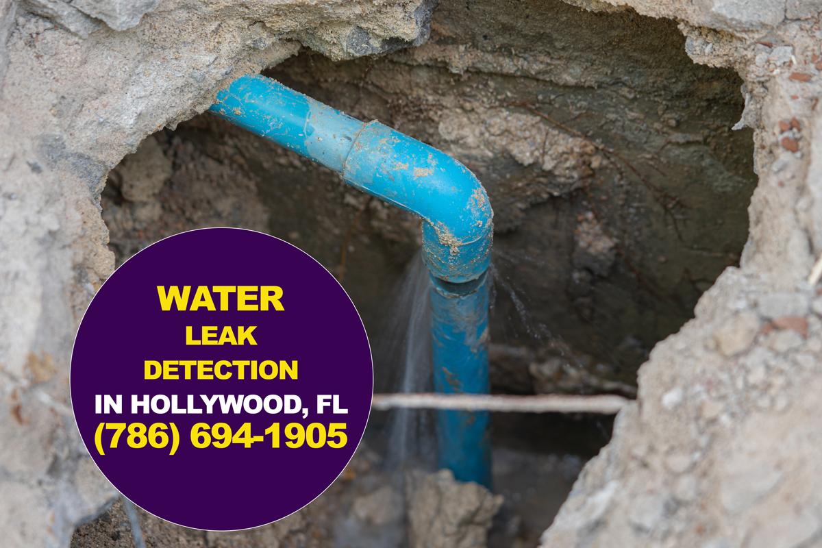 Leak Detection in Hollywood, Florida