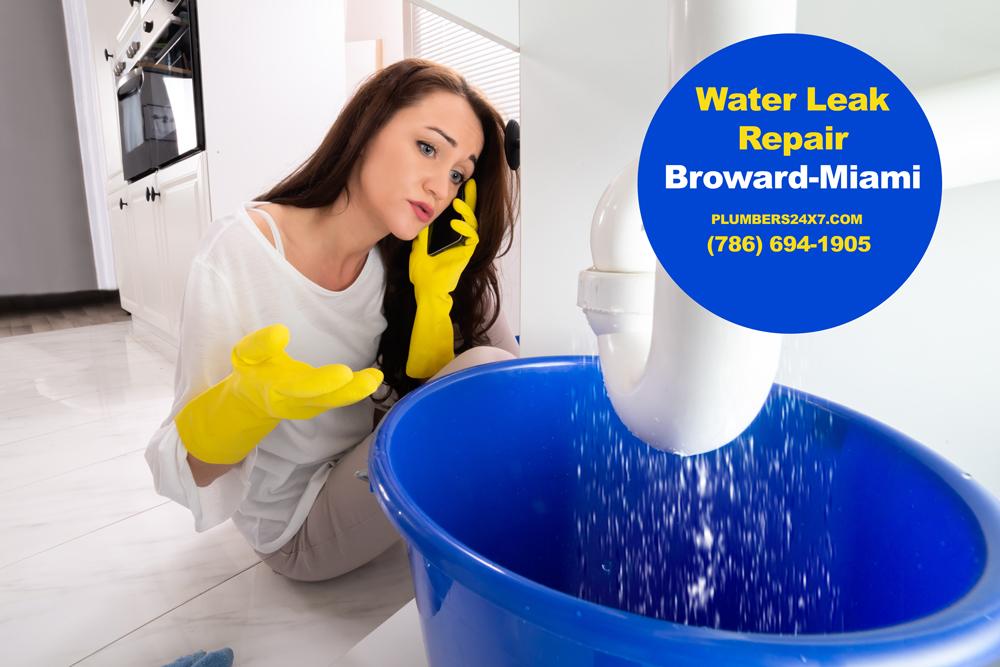 Water Leak Repair in Broward